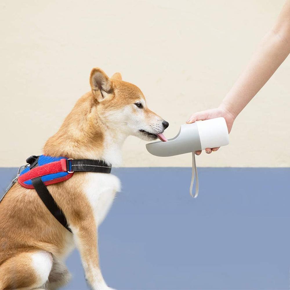 INSTACHEW Rover Pet Travel Bottle – Portable Dog Water Bottle
